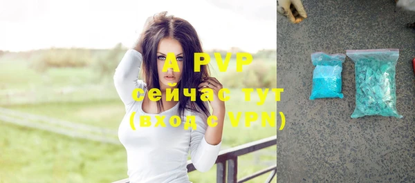 дживик Баксан