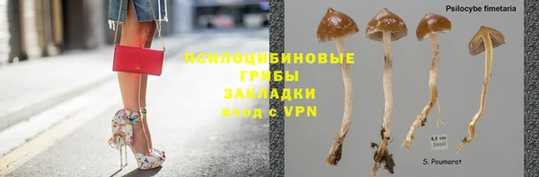 дживик Баксан