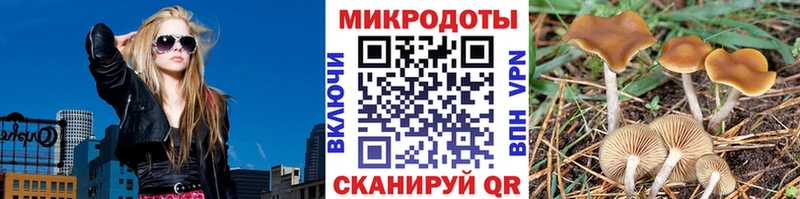Псилоцибиновые грибы GOLDEN TEACHER  mega ССЫЛКА  Чкаловск  цены наркотик 